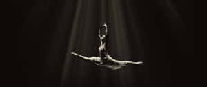 Elegant_ Ballet_ Jump_in_ Spotlight.jpg Wallpaper