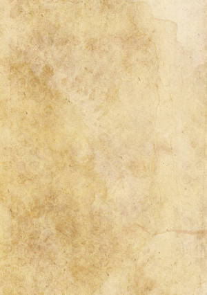 Elegant Beige Backdrop Wallpaper