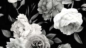Elegant Black And White Floral Wallpaper