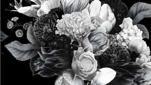 Elegant Black And White Floral Wallpaper