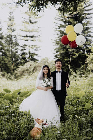 Elegant Bride Standing In A Beautiful Outdoor Setting Wallpaper