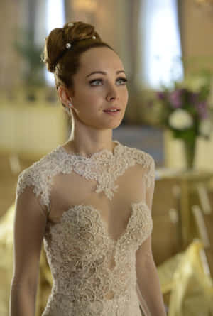 Elegant Bridein Lace Gown Wallpaper