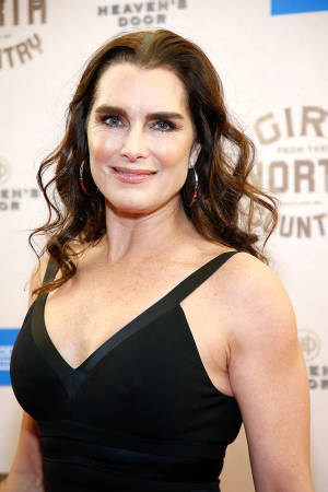 Elegant Brooke Shields Attending A Prestigious Event Wallpaper