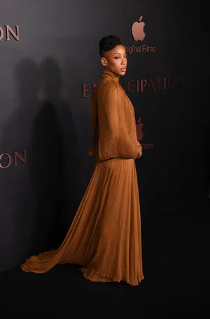 Elegant Brown Gownat Event Wallpaper