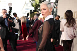 Elegant Celebrity Red Carpet Look Wallpaper