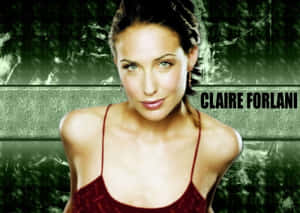 Elegant Claire Forlani Posing In A Beautiful Gown Wallpaper
