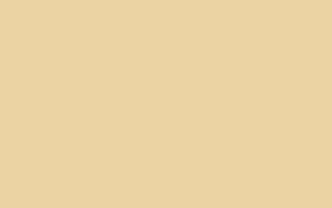 Elegant Cream Color Background Wallpaper