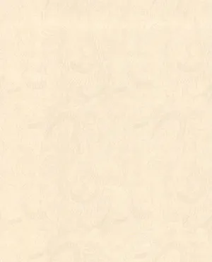 Elegant Cream Color Wallpaper Wallpaper