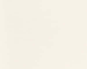 Elegant Cream Colored Background Wallpaper