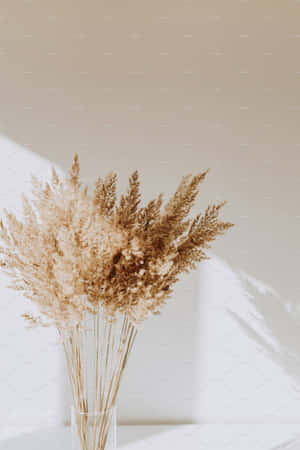 Elegant Dried Flower Arrangement Wallpaper