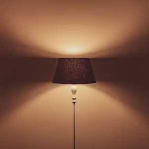 Elegant Floor Lamp Illumination Wallpaper