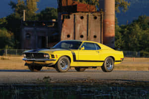 Elegant Ford Mustang Boss 302 In Full Speed Wallpaper