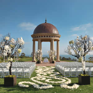 Elegant Garden Wedding Ceremony Wallpaper