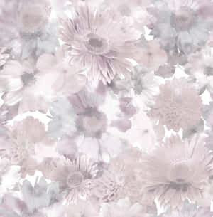 Elegant Gray And Pink Abstract Design Wallpaper