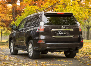 Elegant Lexus Gx 460 On The Road Wallpaper