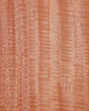 Elegant Mahogany Wood Texture Wallpaper
