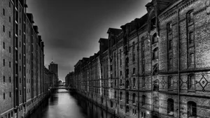 Elegant Monochrome Landscape Wallpaper