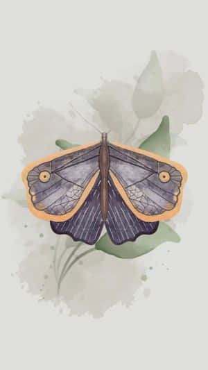 Elegant Moth Illustration Wallpaper