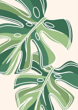 Elegant Nature Art - Monstera Leaves Wallpaper