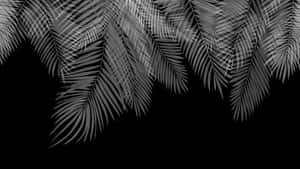 Elegant Palm Leaf Silhouettes Wallpaper