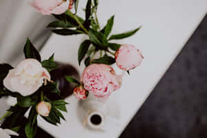 Elegant Peony Floral Display Wallpaper