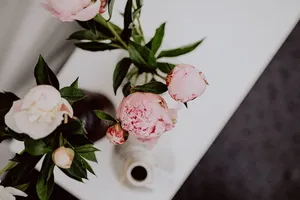 Elegant Peony Floral Display Wallpaper