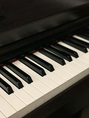 Elegant Piano Keys Closeup.jpg Wallpaper