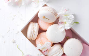 Elegant Pink And White Macaroons Wallpaper