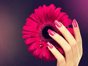 Elegant Pink Nails On A Woman's Hand Wallpaper