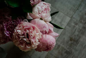 Elegant Pink Peonies Top View Wallpaper