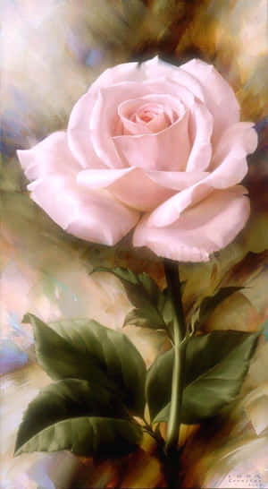 Elegant Pink Rose Artwork Wallpaper