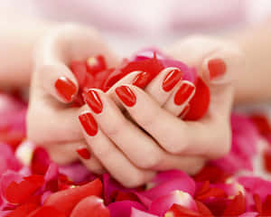 Elegant Red Rose Petal Close-up Wallpaper