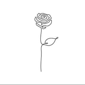 Elegant Red Rose With Green Leaves Symbolizing Love And Passion Wallpaper