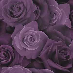Elegant Rose Pattern Wallpaper Wallpaper