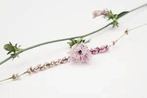 Elegant Simplicity Floral Composition Wallpaper