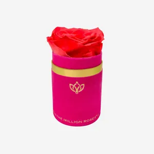 Elegant Single Red Rose Wallpaper