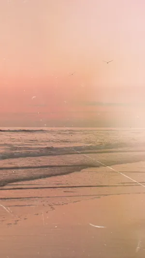 Elegant Solid Pink Background Wallpaper