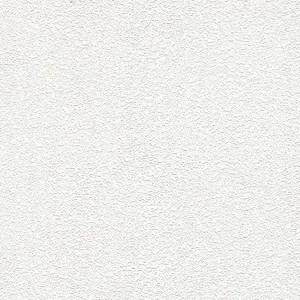 Elegant Stucco Texture Surface Detail Wallpaper