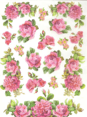 Elegant Vintage Rose Wallpaper Wallpaper