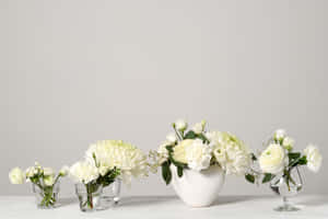 Elegant White Floral Arrangement Wallpaper