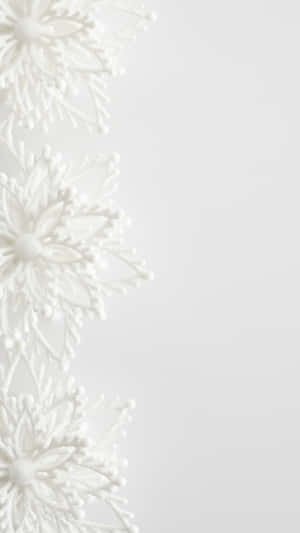 Elegant White Floral Design Wallpaper