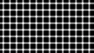 Elegant White Grid Pattern Wallpaper