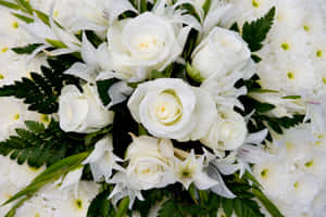 Elegant White Rose Bouquet Wallpaper