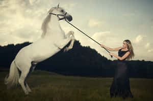 Elegant Womanand White Horsein Field Wallpaper