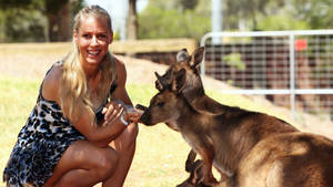 Elena Dementieva With Kangaroos Wallpaper