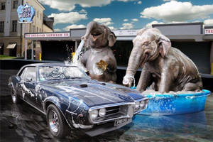 Elephant Car Wash 3d Art Wallpaper