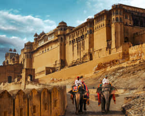 Elephants In Amer Fort Wallpaper