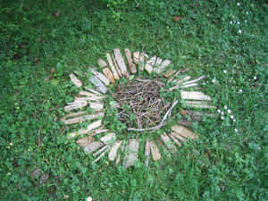 Elevating Earthworks: A Study Of Land Art