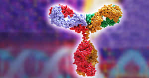 Eligible Function Of Monoclonal Antibody Wallpaper