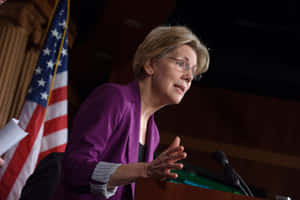 Elizabeth Warren On Senate Podium Wallpaper